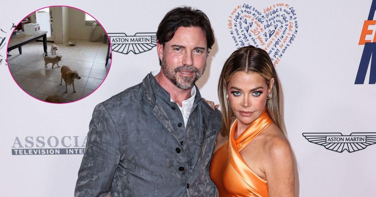 Composite photo of Aaron Phypers, Denise Richards and their home