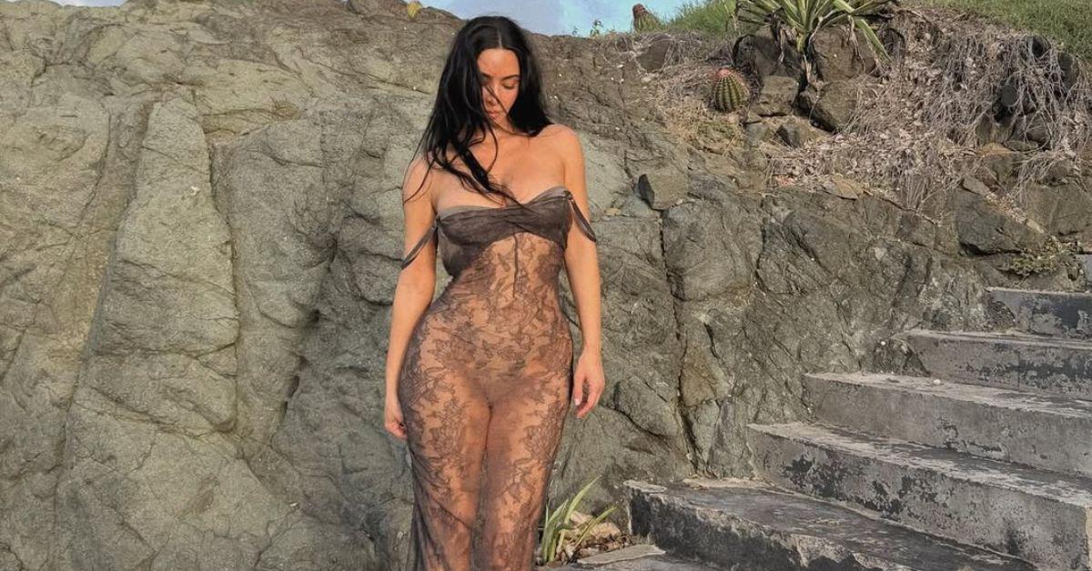 image of The reality star rocked a see-through gown for the photoshoot. 