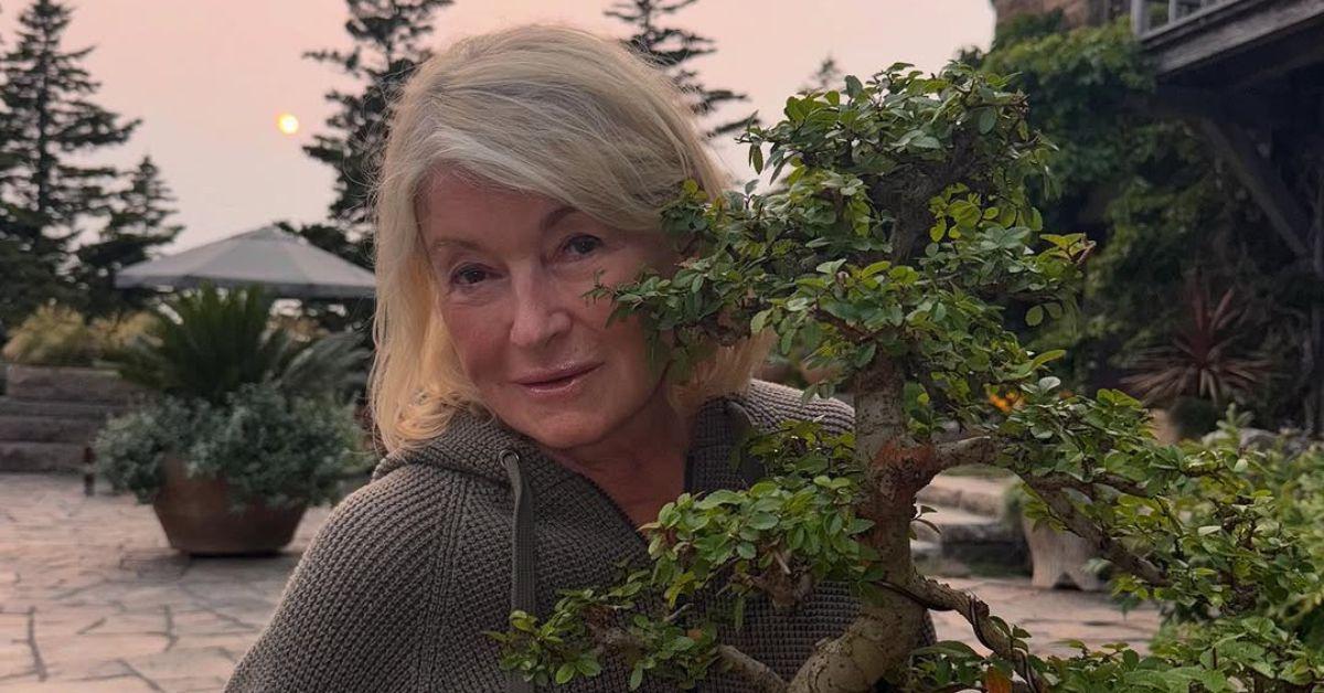 Photo of Martha Stewart